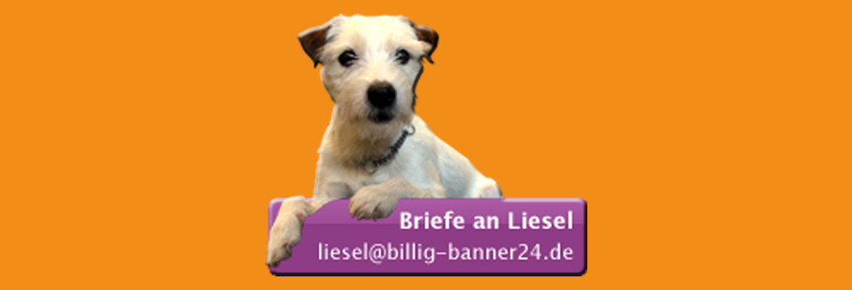 mein name ist liesel